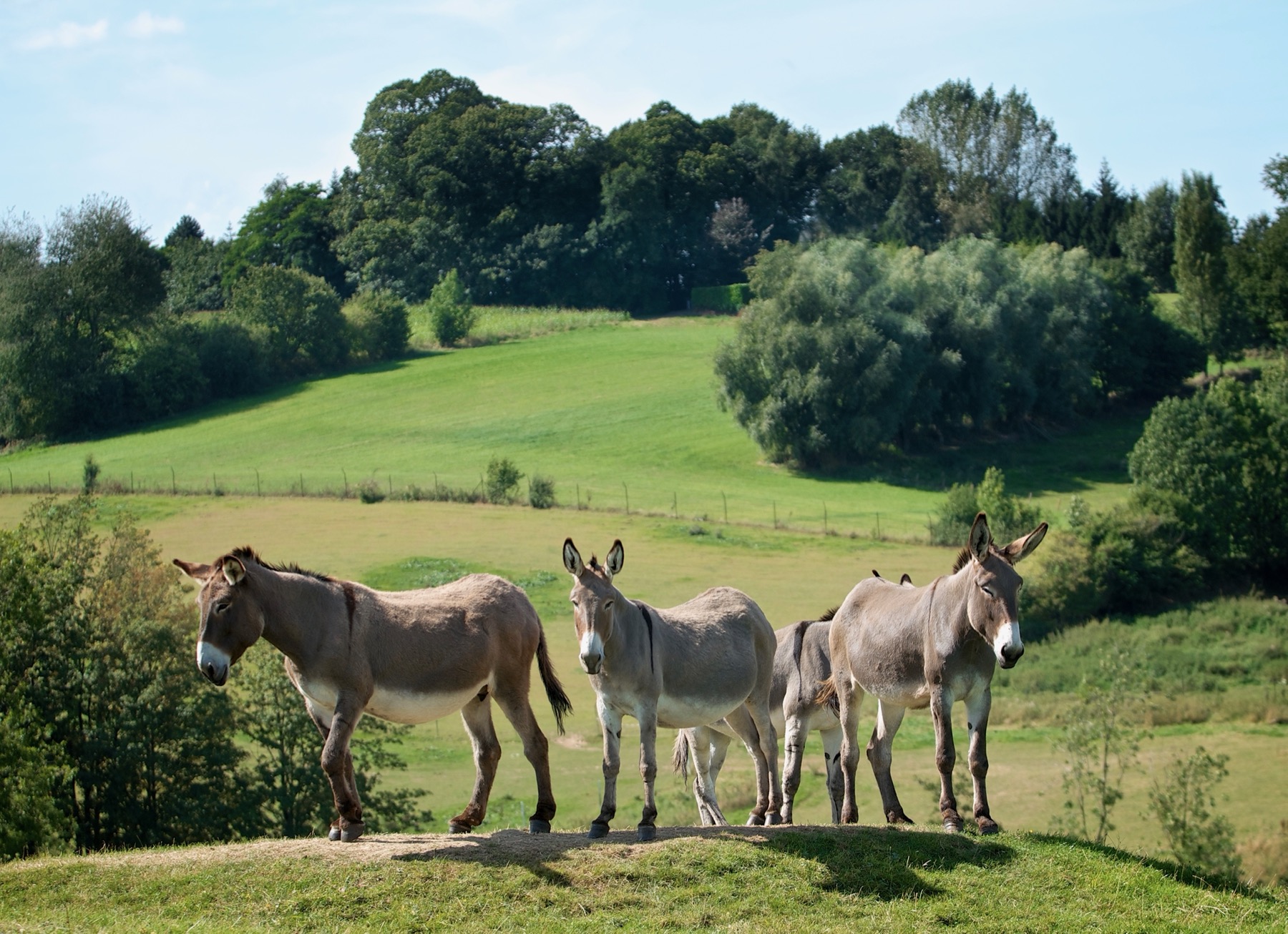 Découvrir le Pays des Collines